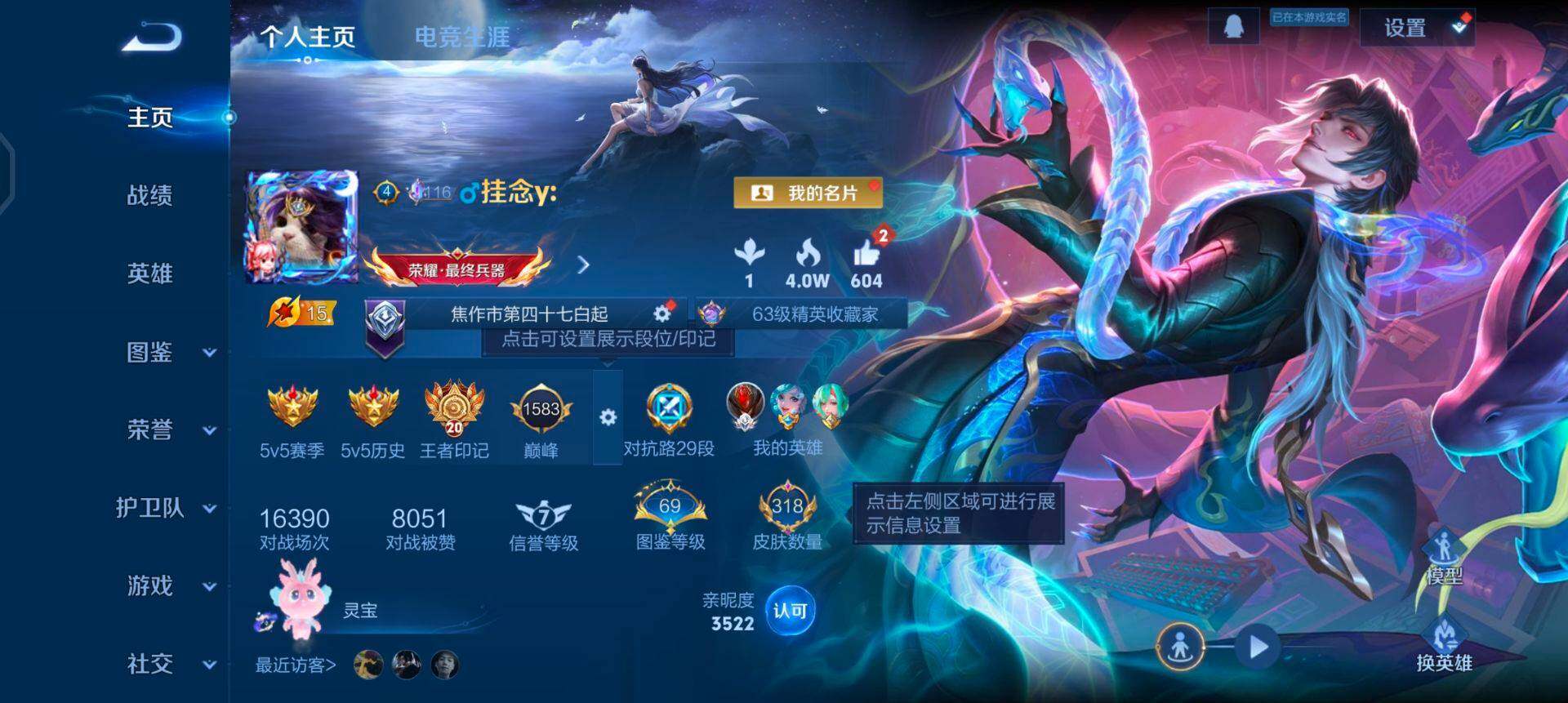 WZQM425229王者荣耀账号详情图3