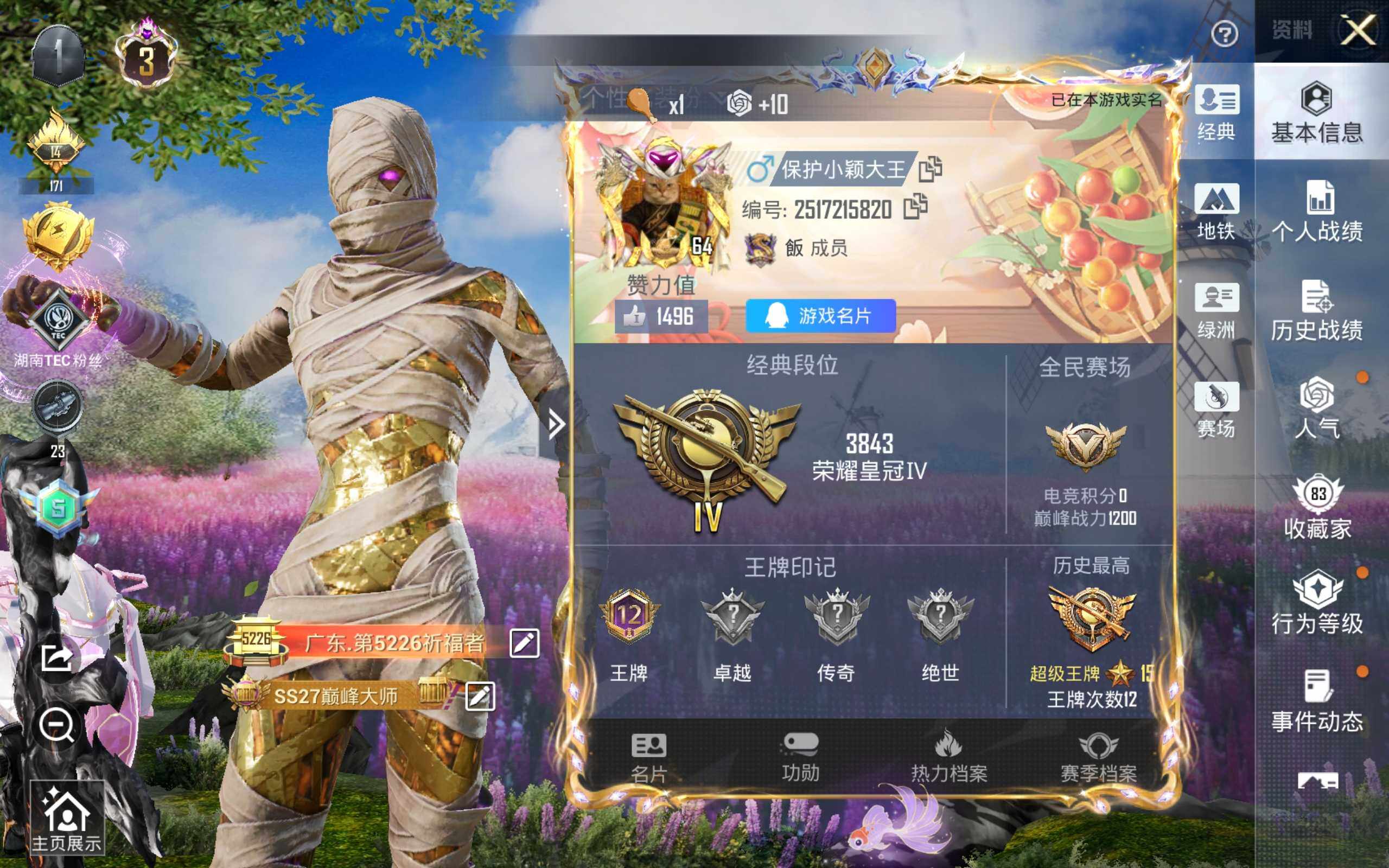 HPQM478242和平精英账号详情图3