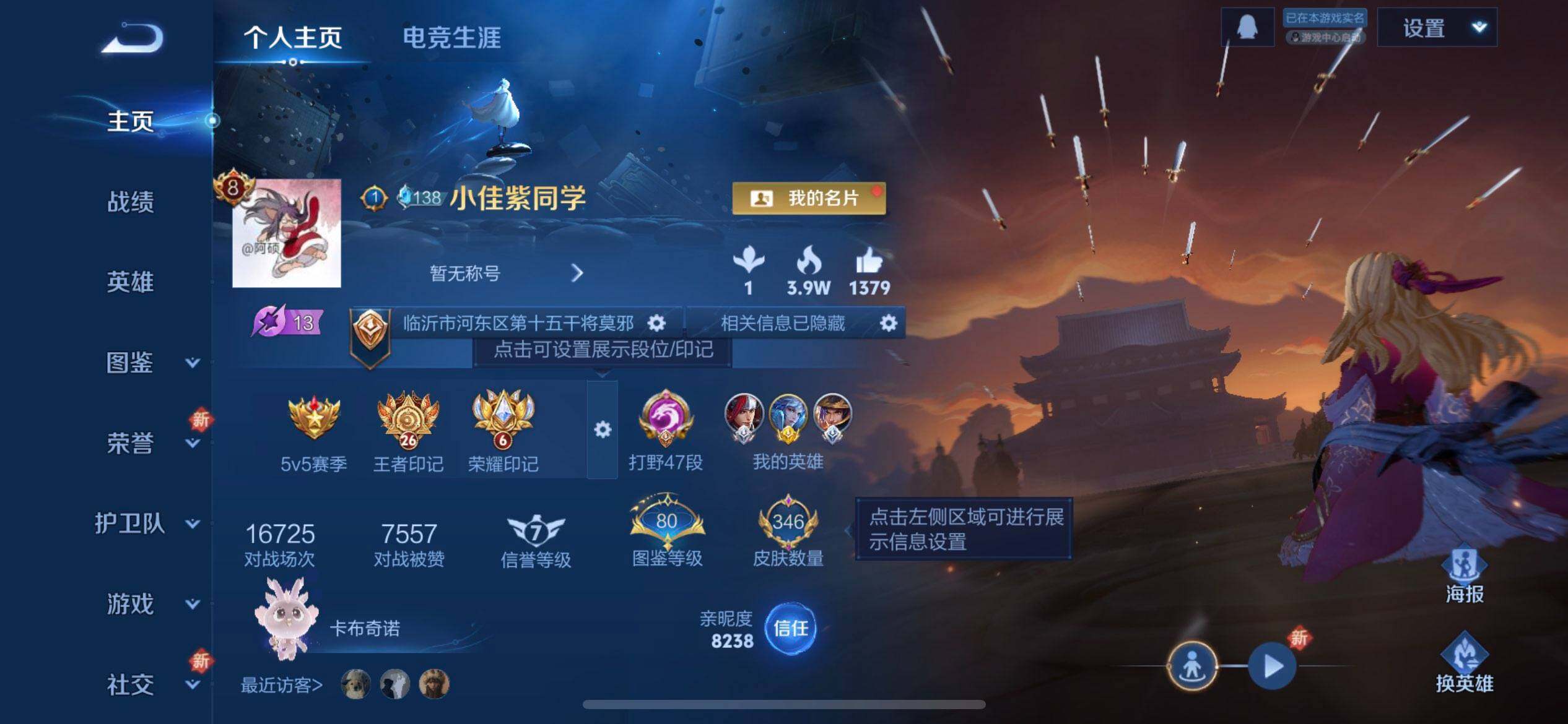 WZQM436685王者荣耀账号详情图3