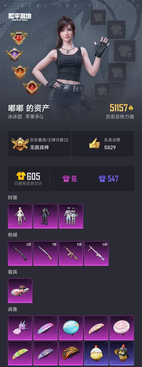 HPQM412997和平精英账号详情图6