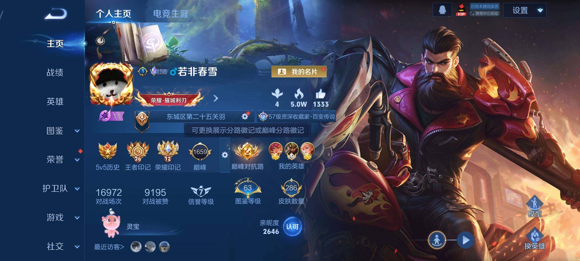 WZCMY424498王者荣耀账号详情图2