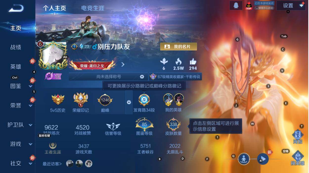 WZLX464254王者荣耀账号详情图8