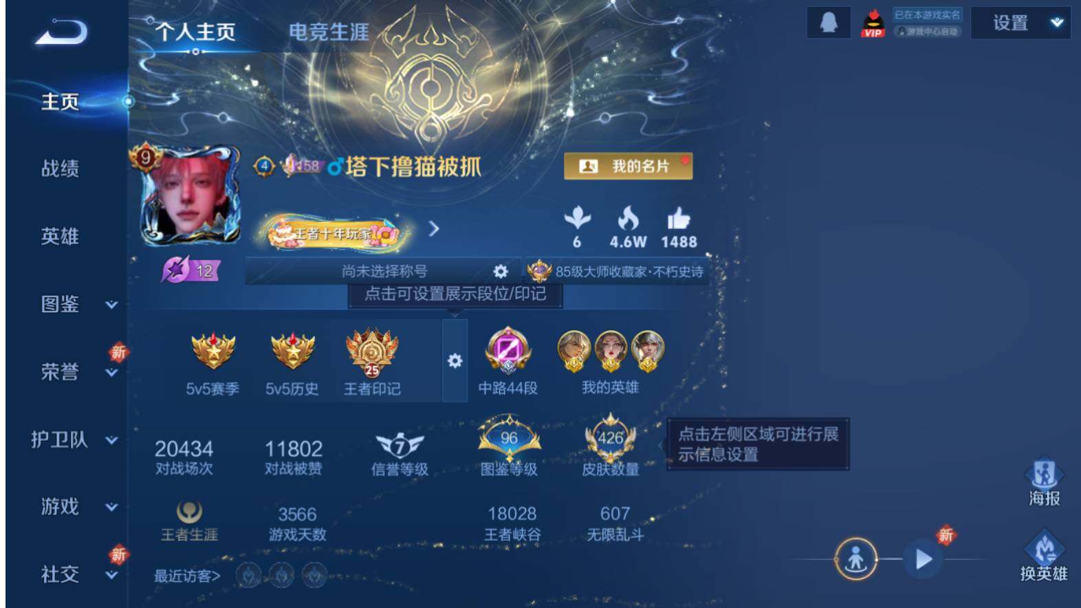 WZLX464318王者荣耀账号详情图9