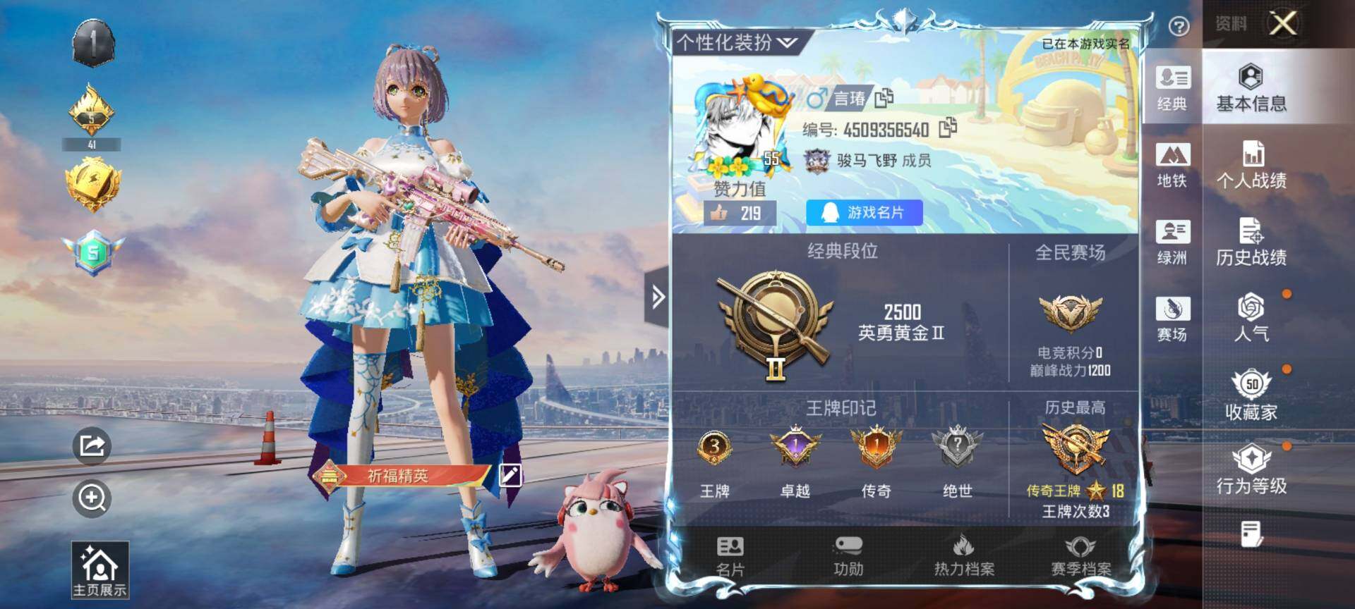 HPQM413117和平精英账号详情图3