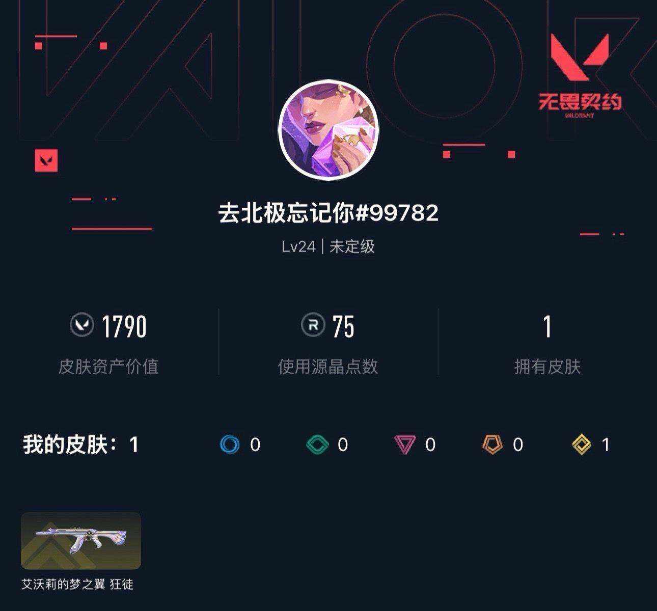 WWQXL41571无畏契约账号详情图2 WWQXL41571无畏契约账号详情图2