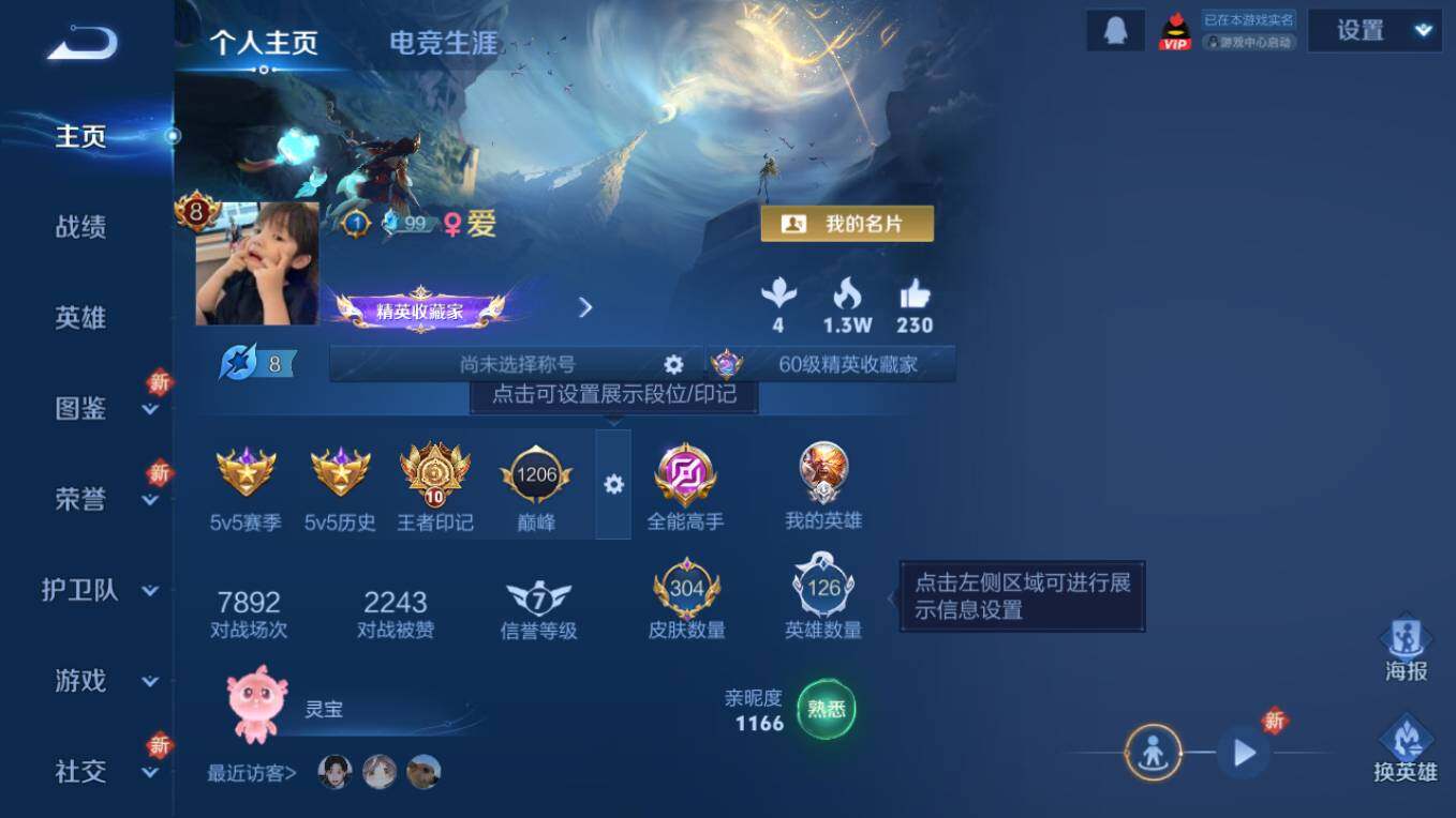 WZCMW495855王者荣耀账号详情图9