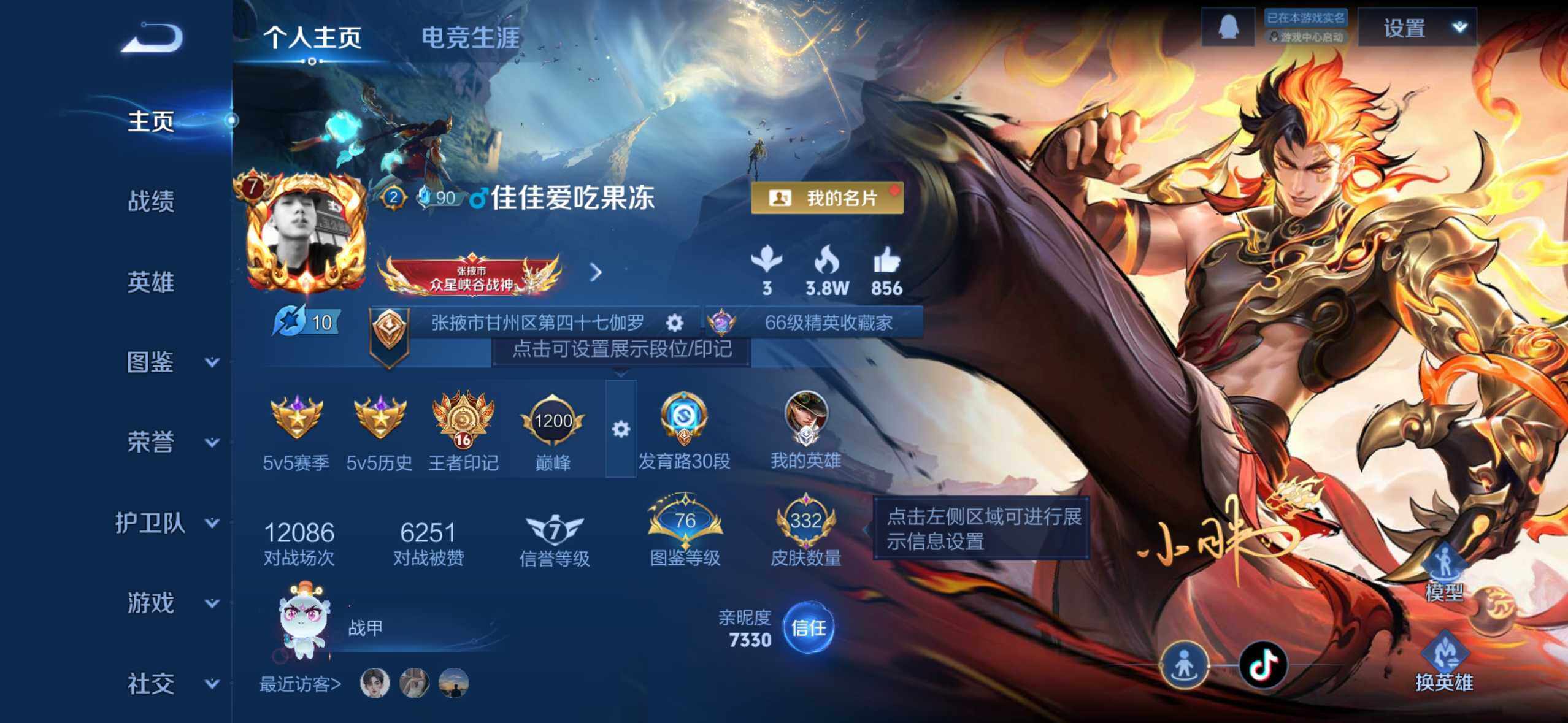 WZDN419959王者荣耀账号详情图3