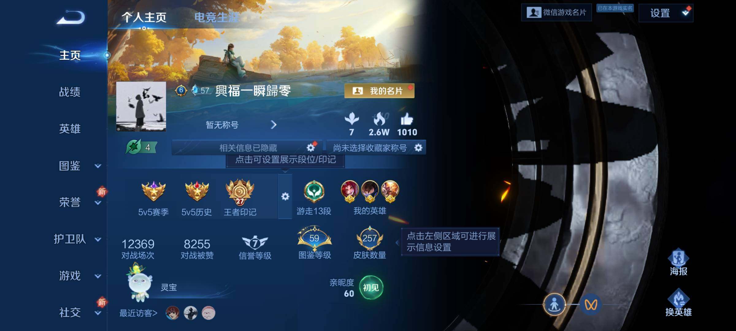 WZKG457394王者荣耀账号详情图7