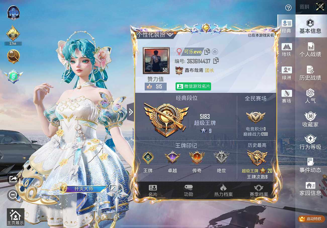 HPQM413461和平精英账号详情图16