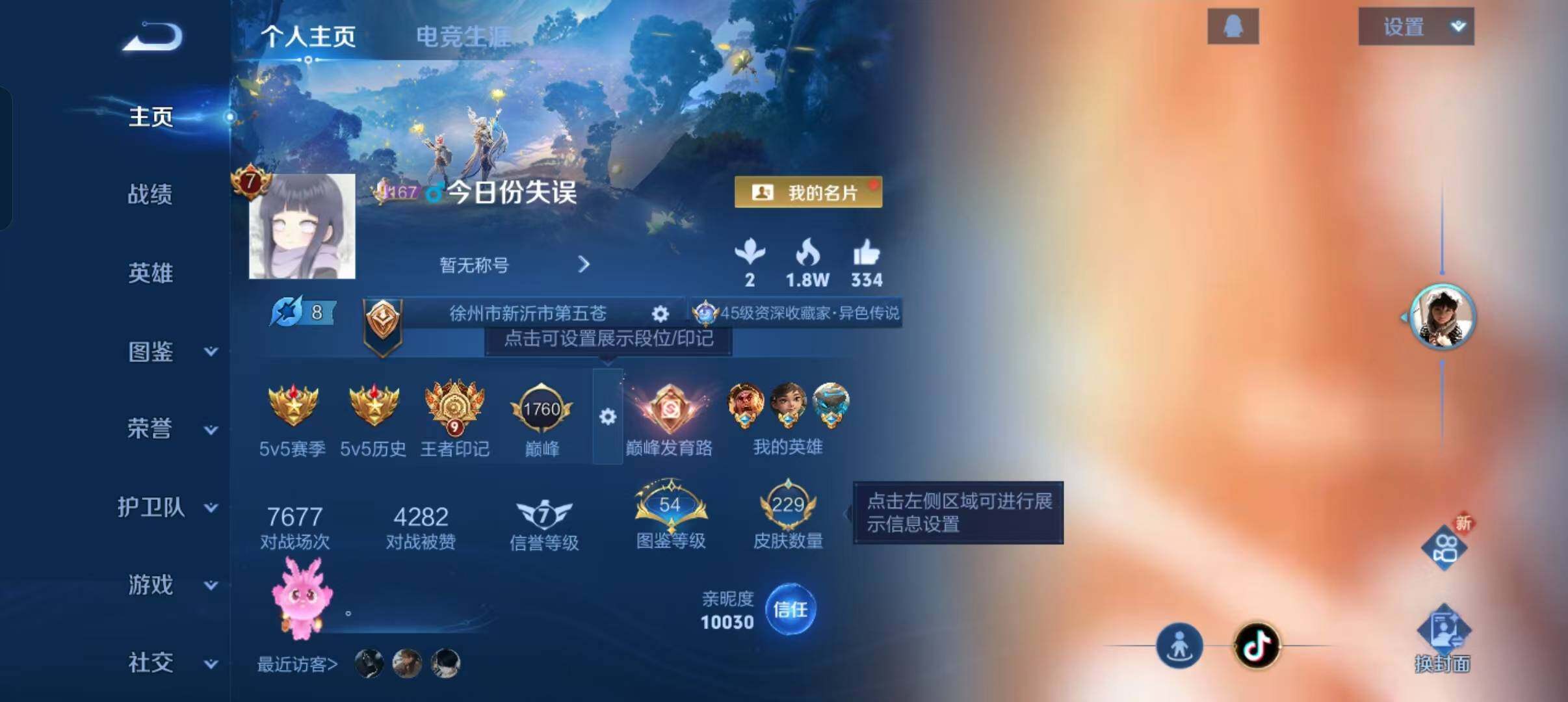 WZLX470499王者荣耀账号详情图2