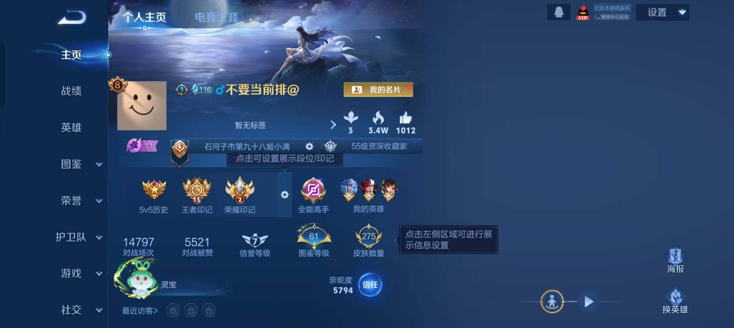 WZLX466671王者荣耀账号详情图2