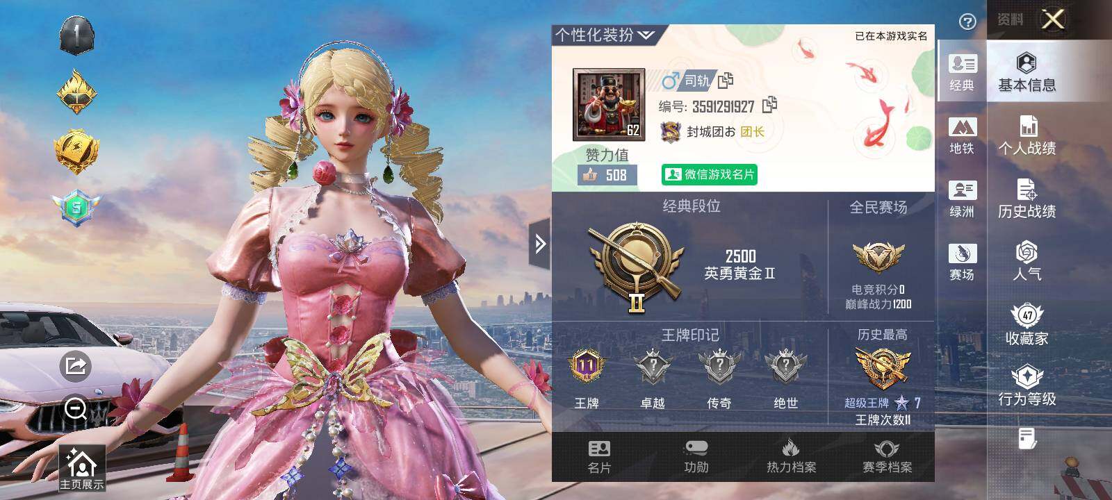 HPQM413466和平精英账号详情图13