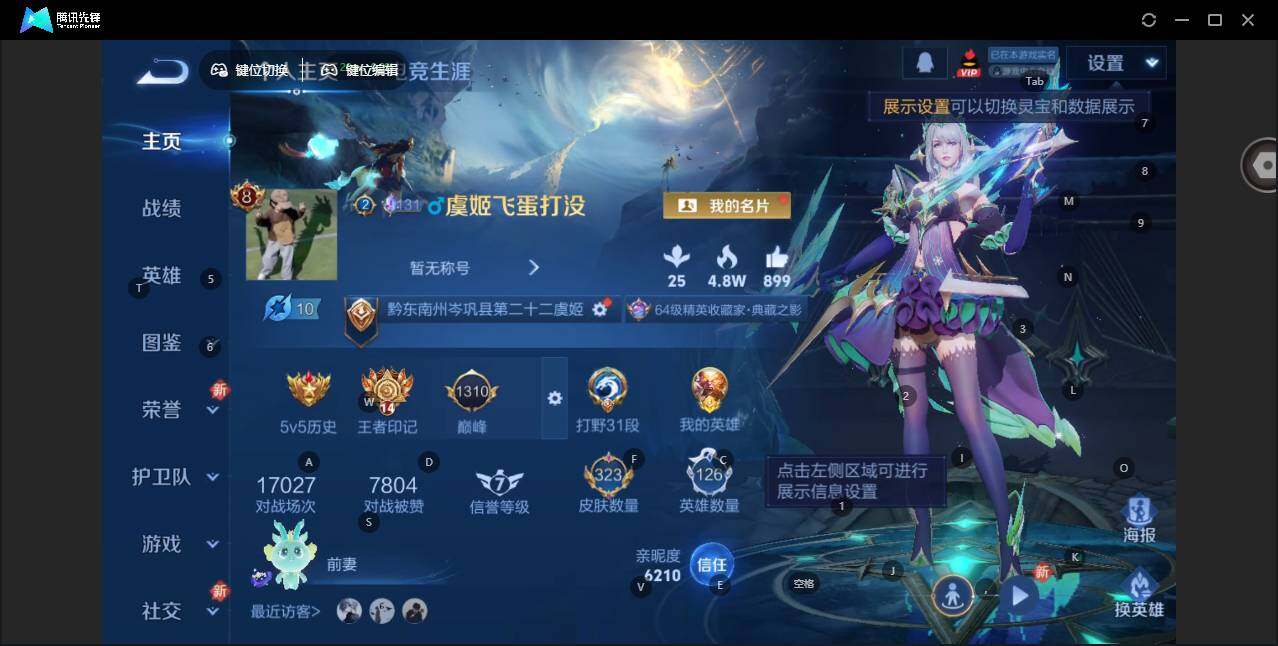 WZLX473000王者荣耀账号详情图7