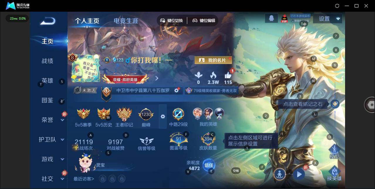 WZLX464612王者荣耀账号详情图10