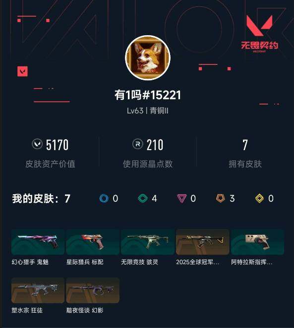 WWQQM41964无畏契约账号详情图4