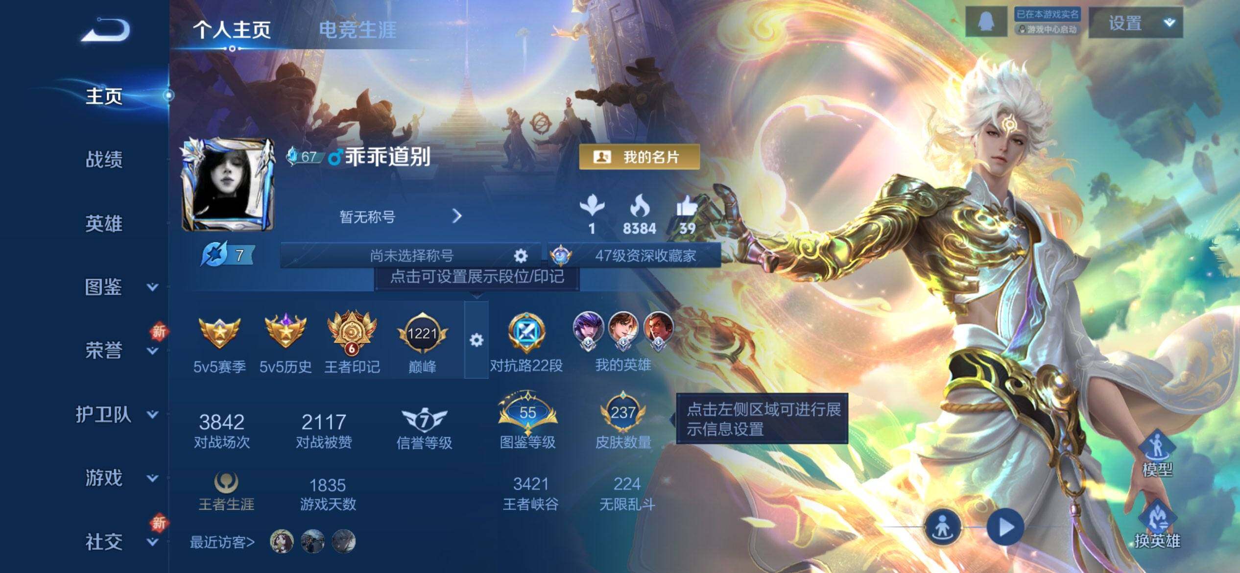 WZQM423340王者荣耀账号详情图3