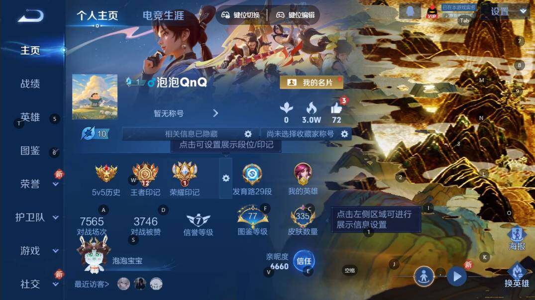 WZQYYX433178王者荣耀账号详情图7