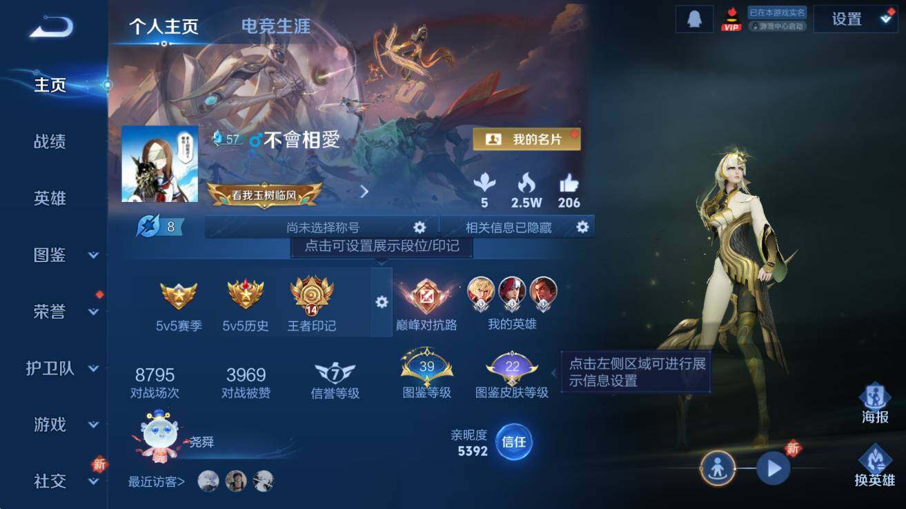 WZCMW423763王者荣耀账号详情图7