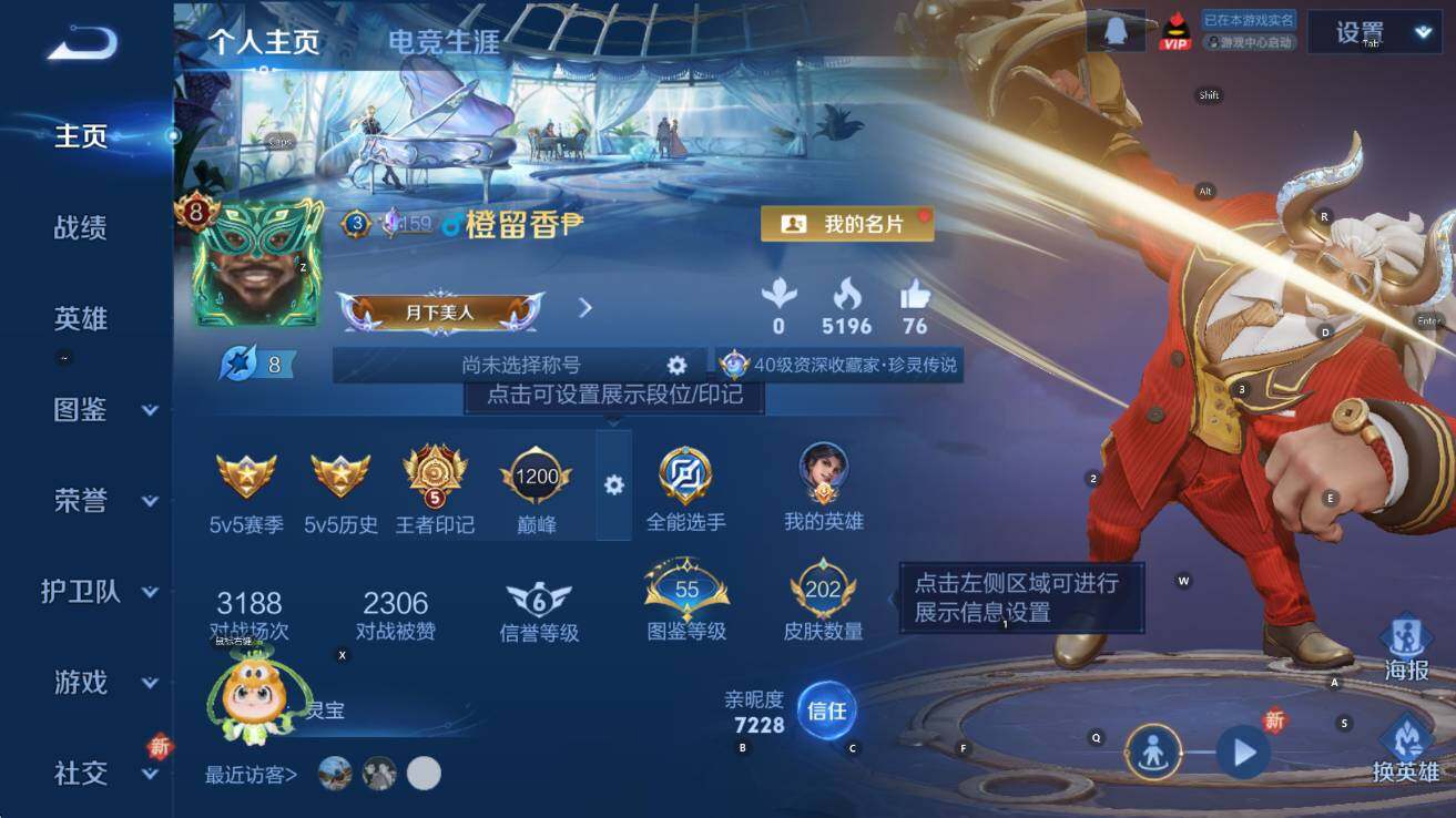 WZCMW423798王者荣耀账号详情图8