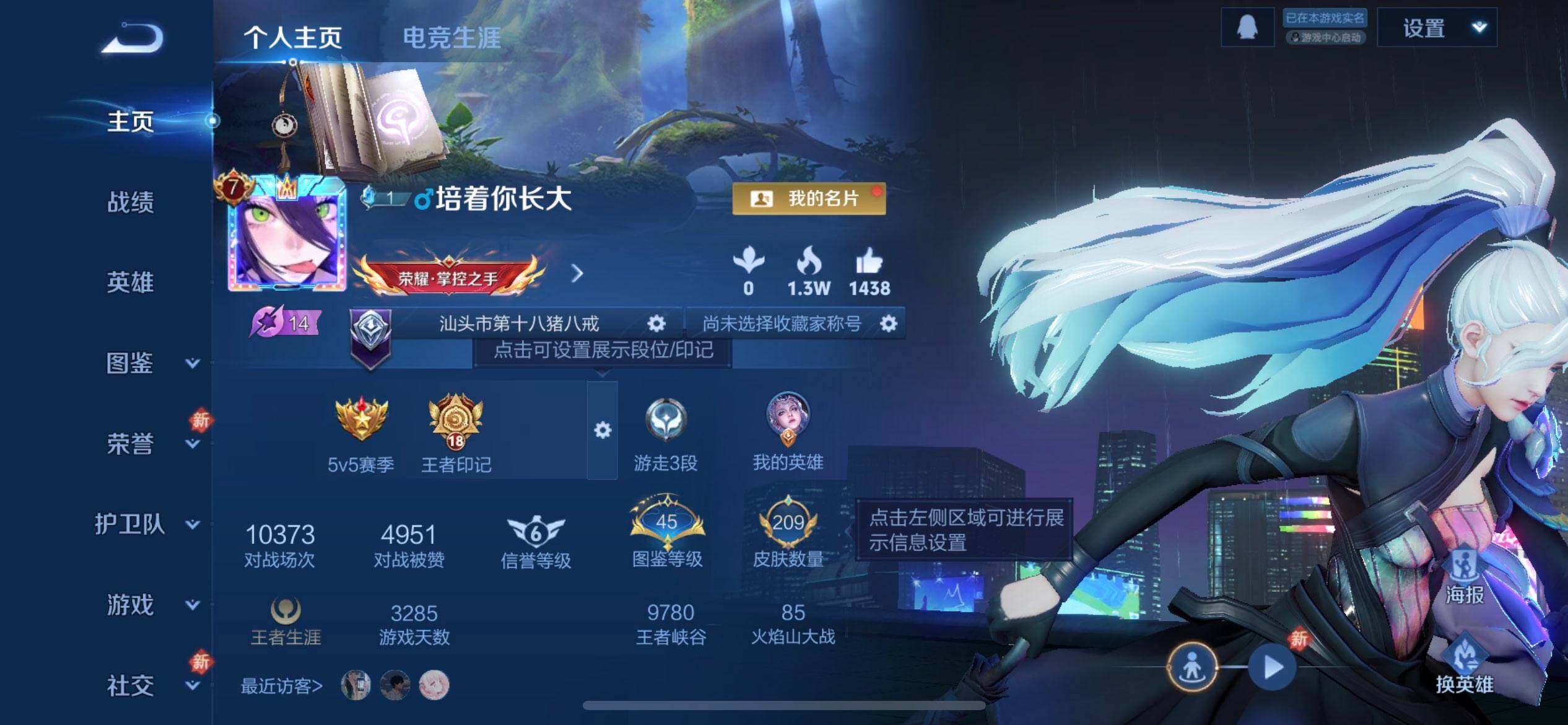 WZQM430229王者荣耀账号详情图3