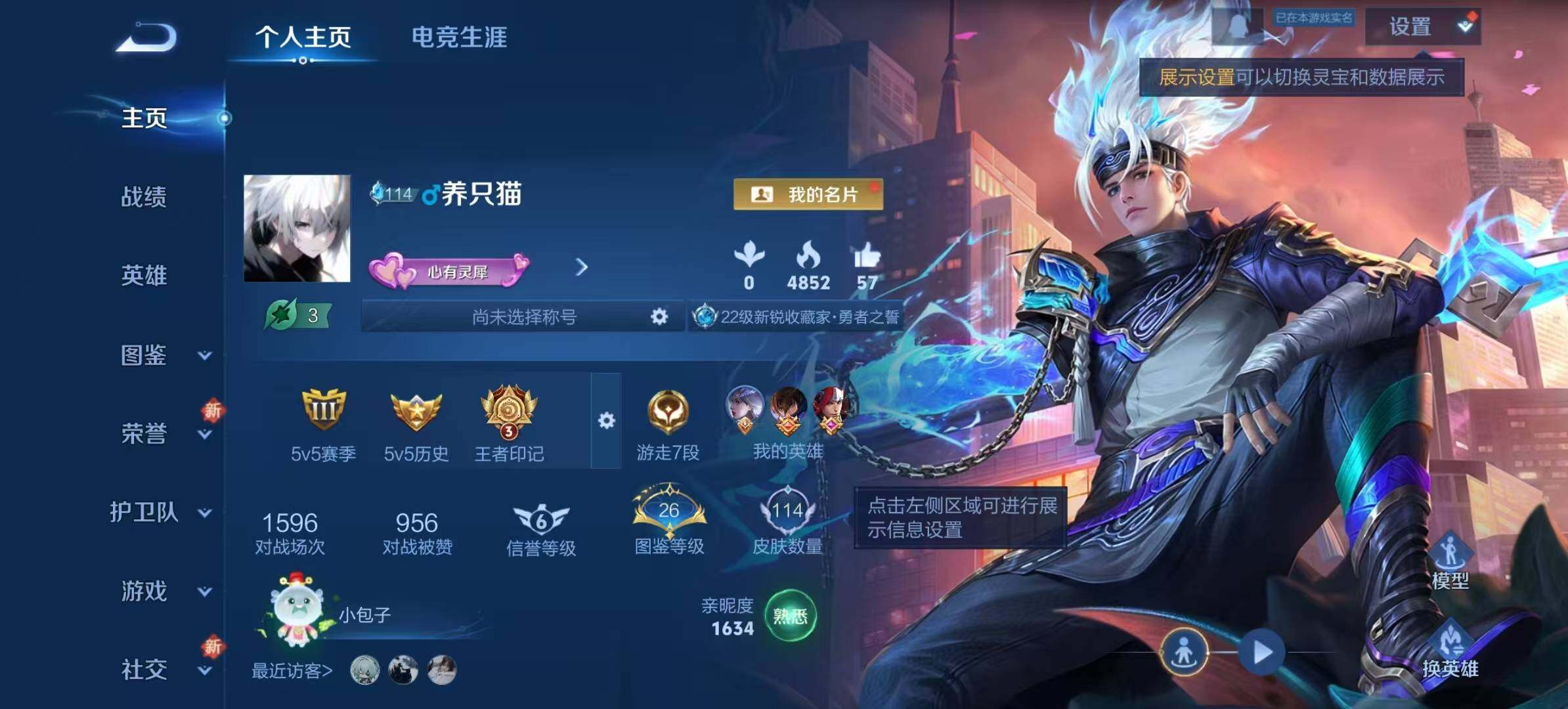 WZCMW467224王者荣耀账号详情图12