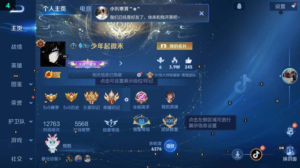 WZ03431059王者荣耀账号详情图9