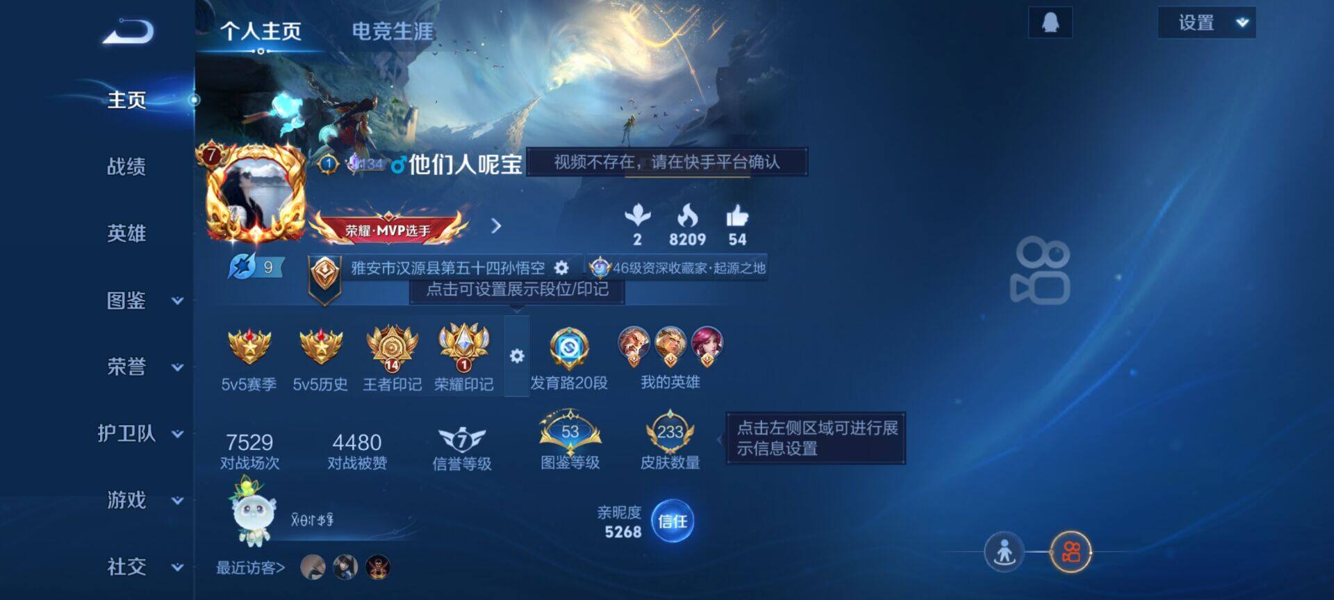 WZQM425355王者荣耀账号详情图8 WZQM425355王者荣耀账号详情图8