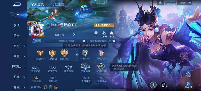 WZCMW438008王者荣耀账号详情图2