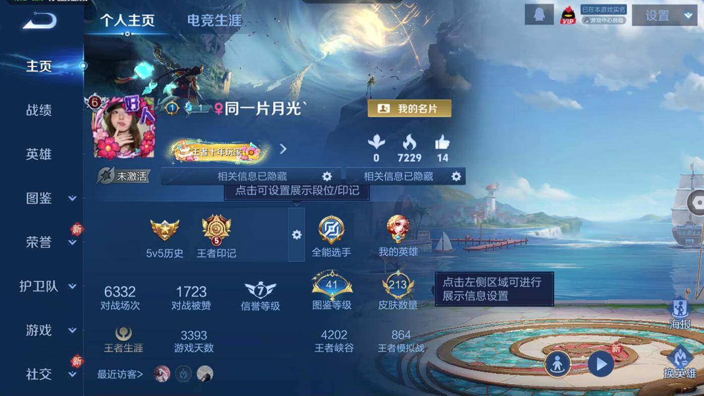 WZCMW495549王者荣耀账号详情图8