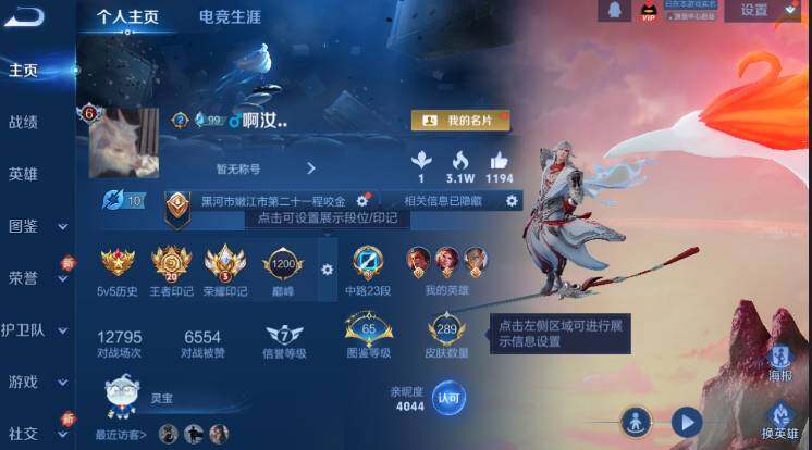 WZ03431810王者荣耀账号详情图10