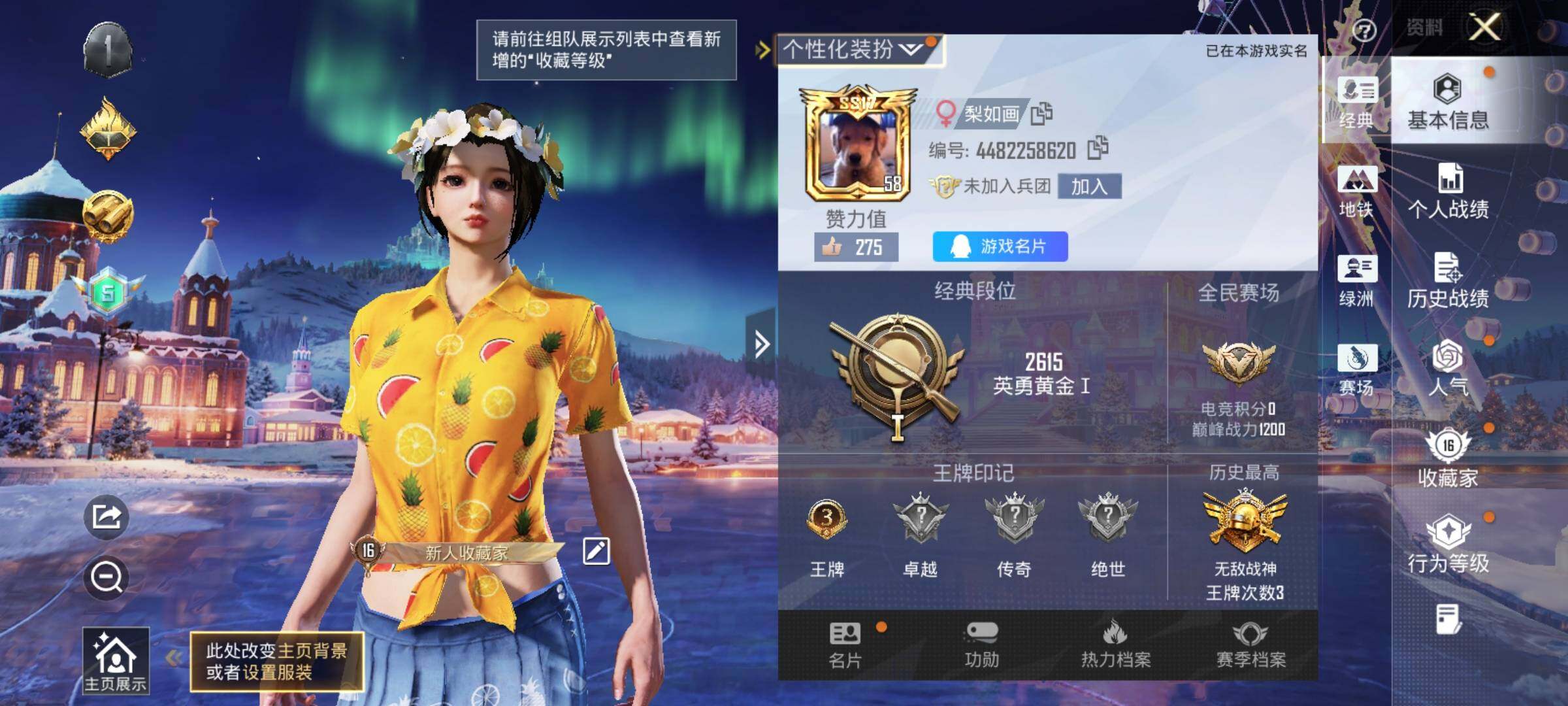 HPLE415547和平精英账号详情图4