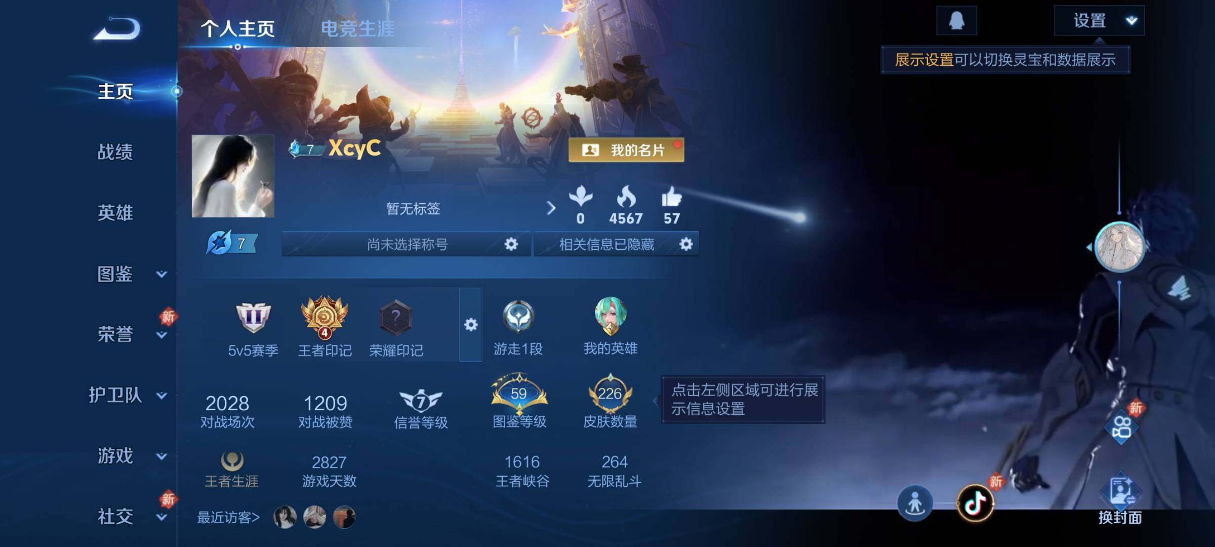 WZCMY443822王者荣耀账号详情图2