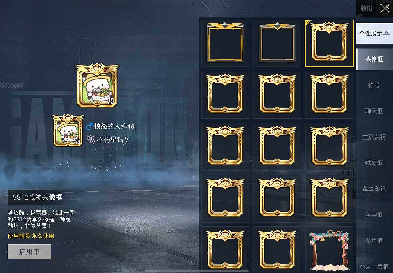 HPCMW417403和平精英账号详情图28