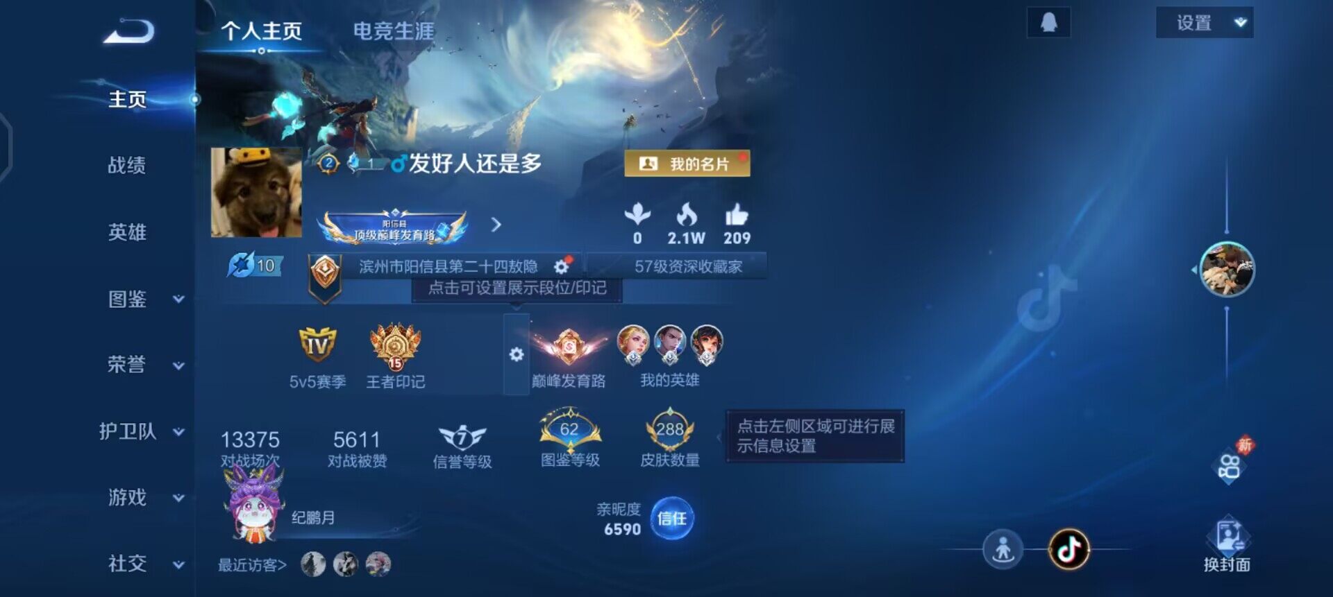 WZQM437174王者荣耀账号详情图3