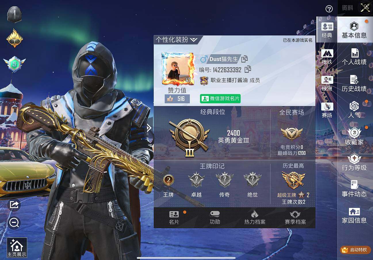 HPCMW418167和平精英账号详情图11