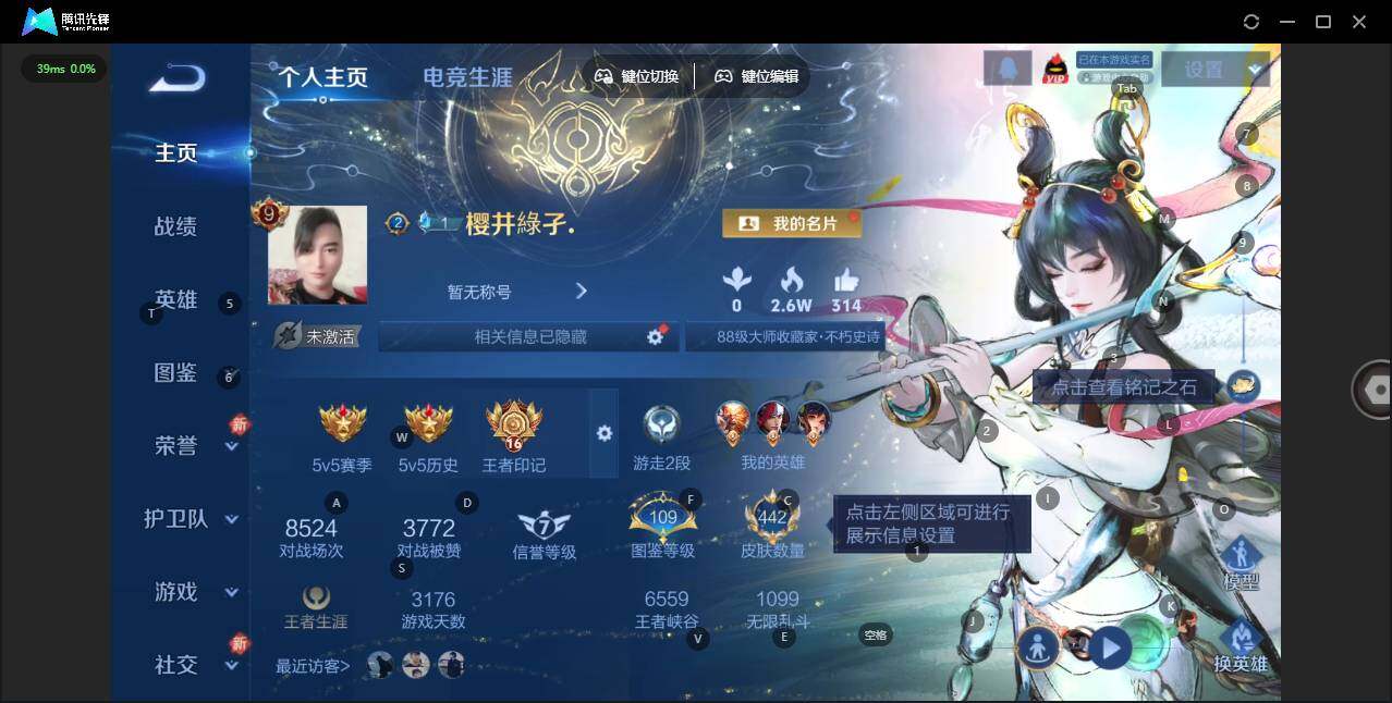 WZCMW464531王者荣耀账号详情图10