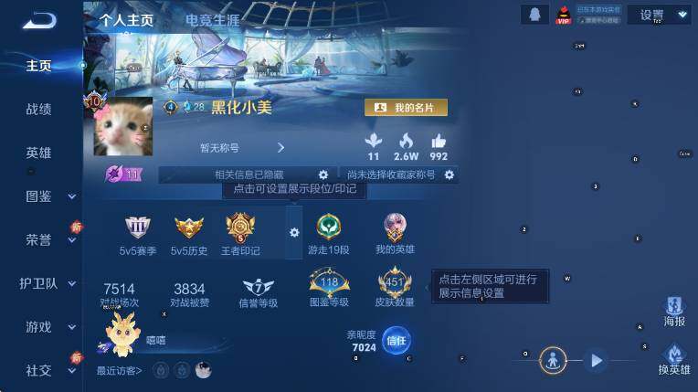 WZCMW431775王者荣耀账号详情图11