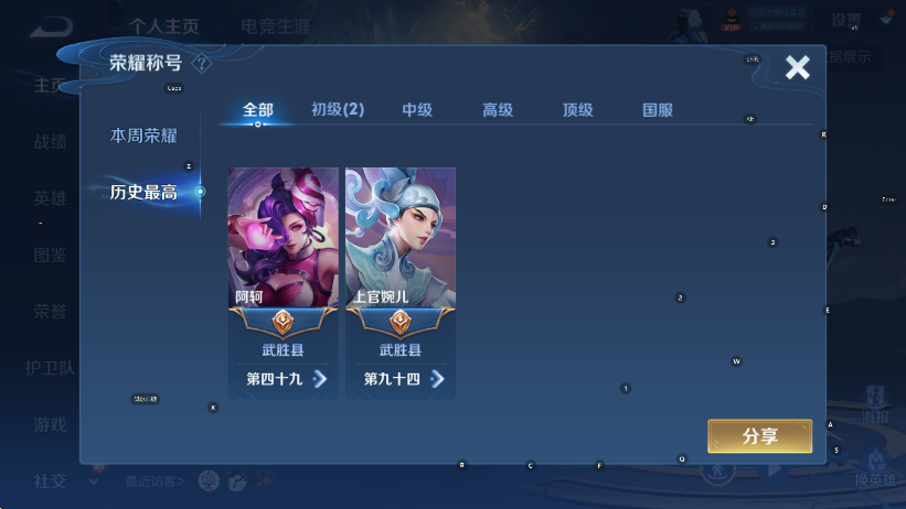 WZCMW4119910王者荣耀账号详情图8