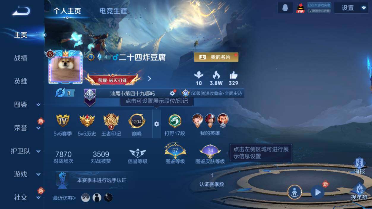 WZCMW463576王者荣耀账号详情图7