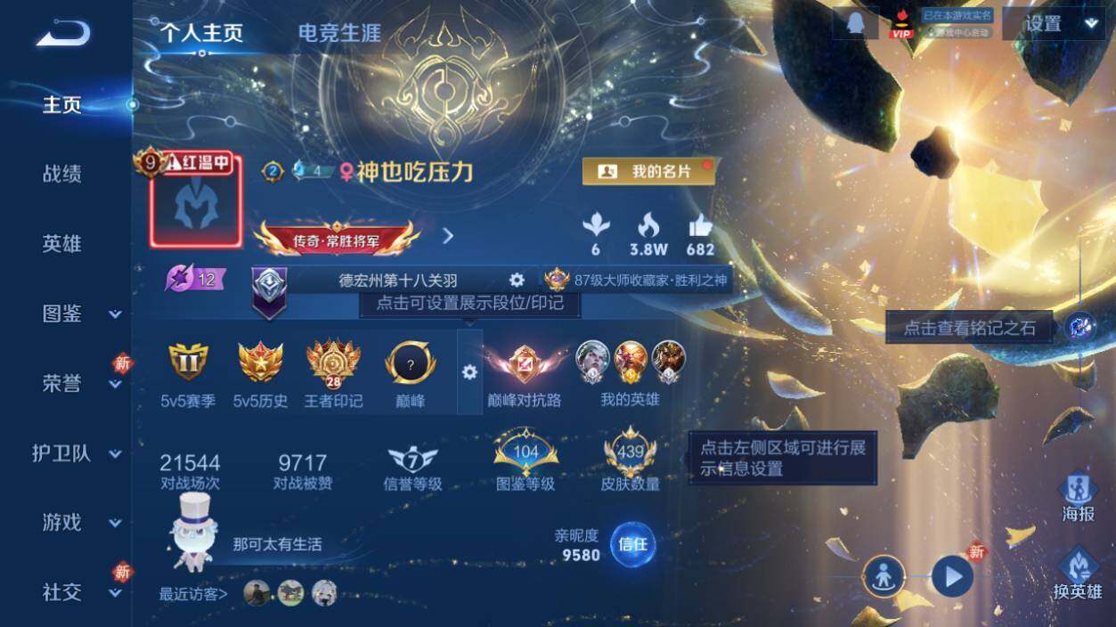 WZLX464335王者荣耀账号详情图9