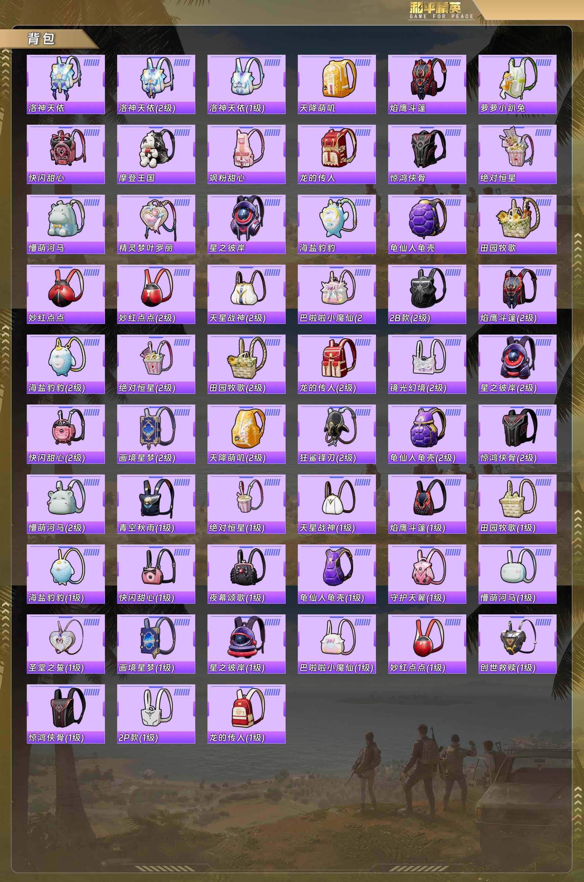 HPCMW4159853和平精英账号详情图6