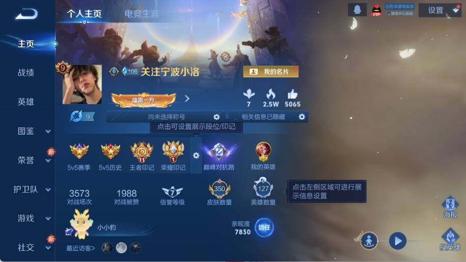 WZ03433737王者荣耀账号详情图10