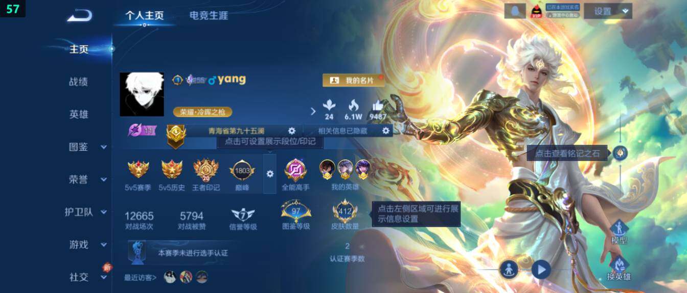 WZ03436854王者荣耀账号详情图11