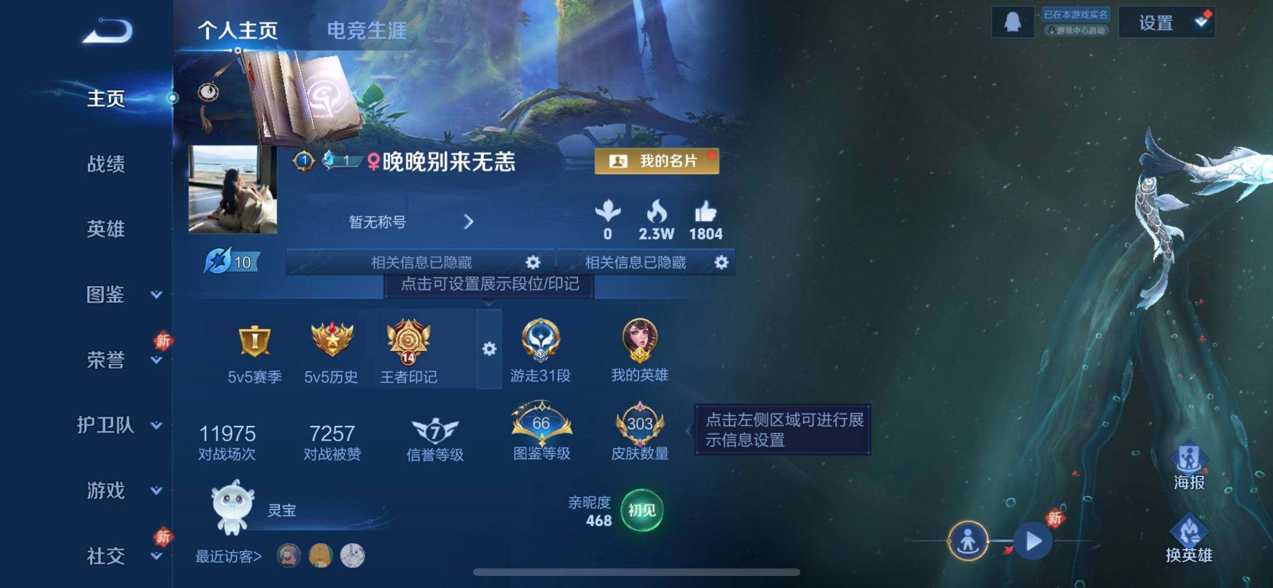 WZQM437199王者荣耀账号详情图3