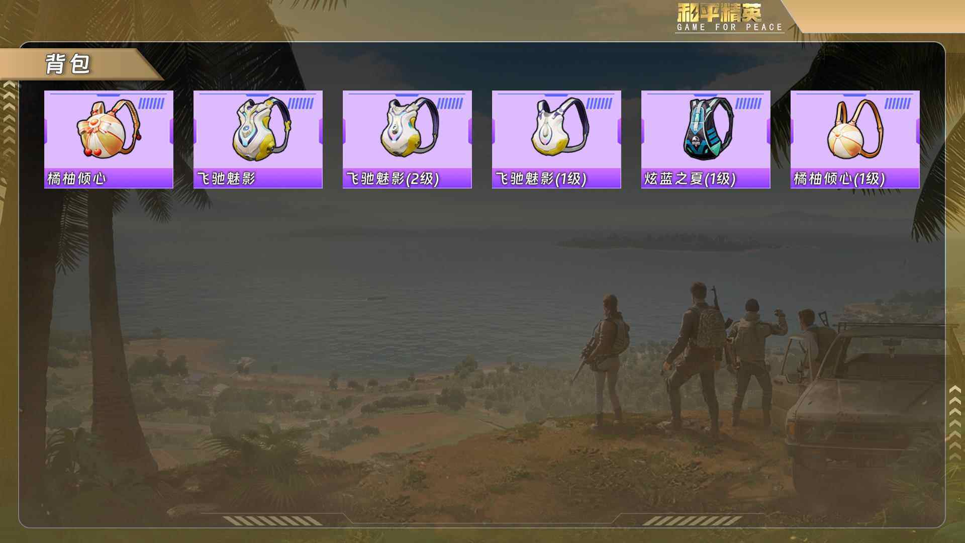 HPQM478292和平精英账号详情图11