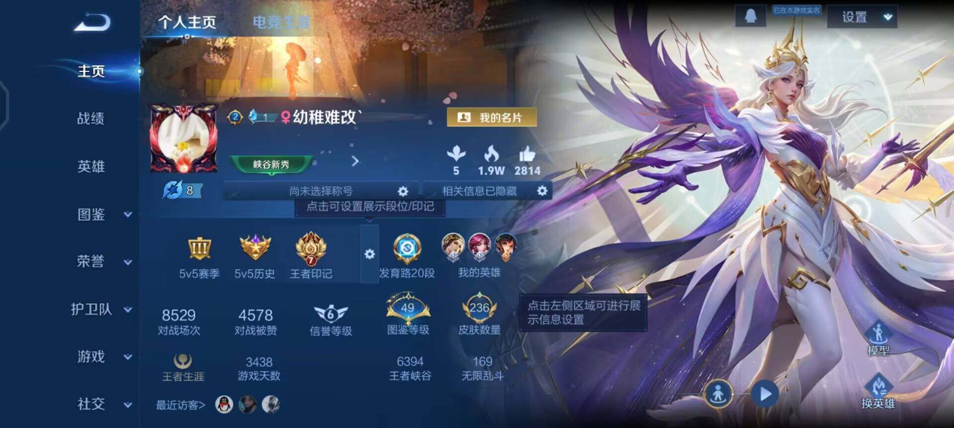 WZQM437170王者荣耀账号详情图3