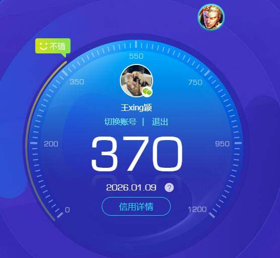 WZKG451353王者荣耀账号详情图5