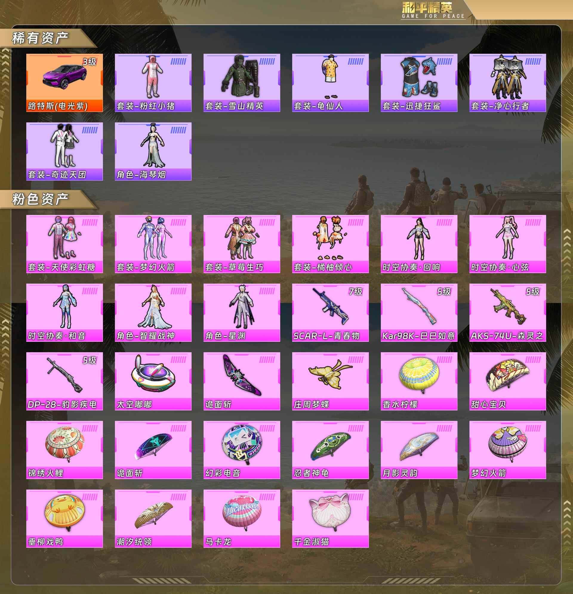 HPCMW478813和平精英账号详情图5