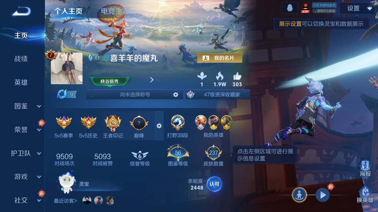 WZ03437951王者荣耀账号详情图3