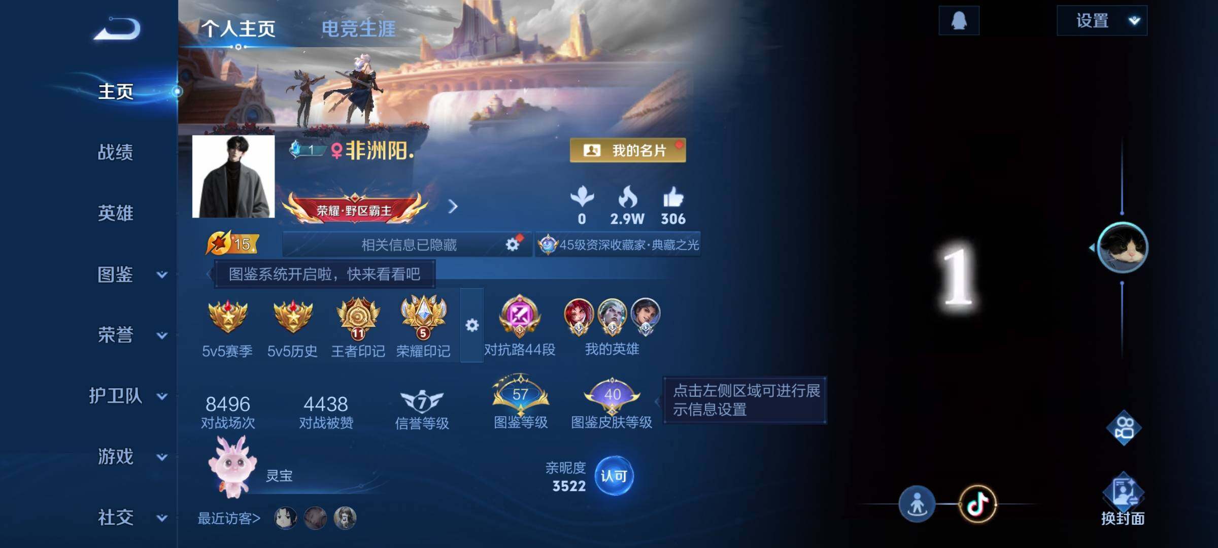 WZCMW438139王者荣耀账号详情图2